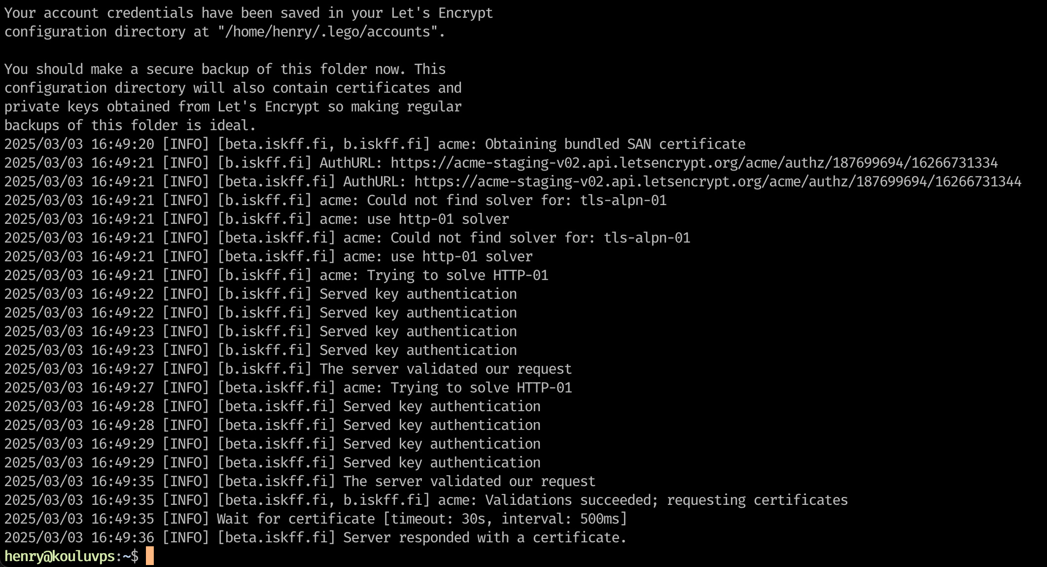 Onnistuneen testin jälkeen