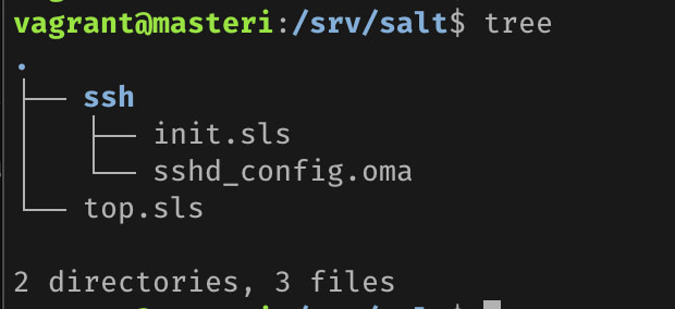 SSH config