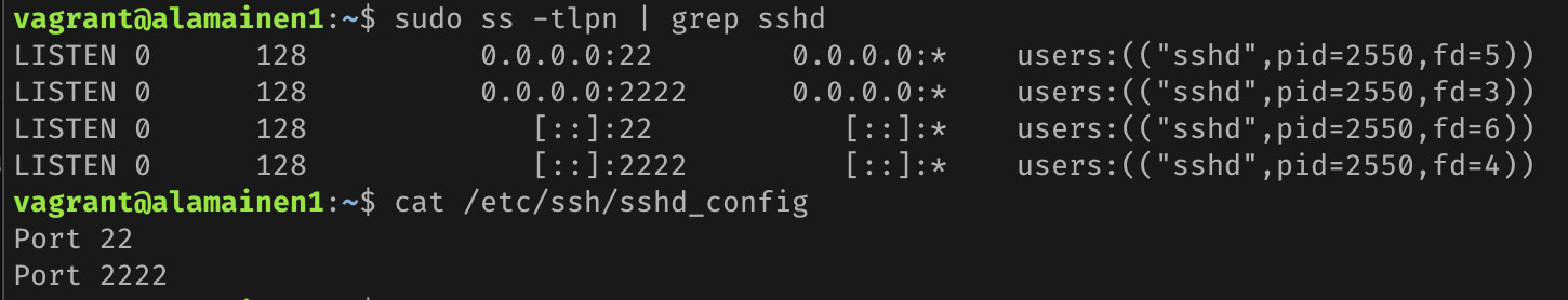 SSH config